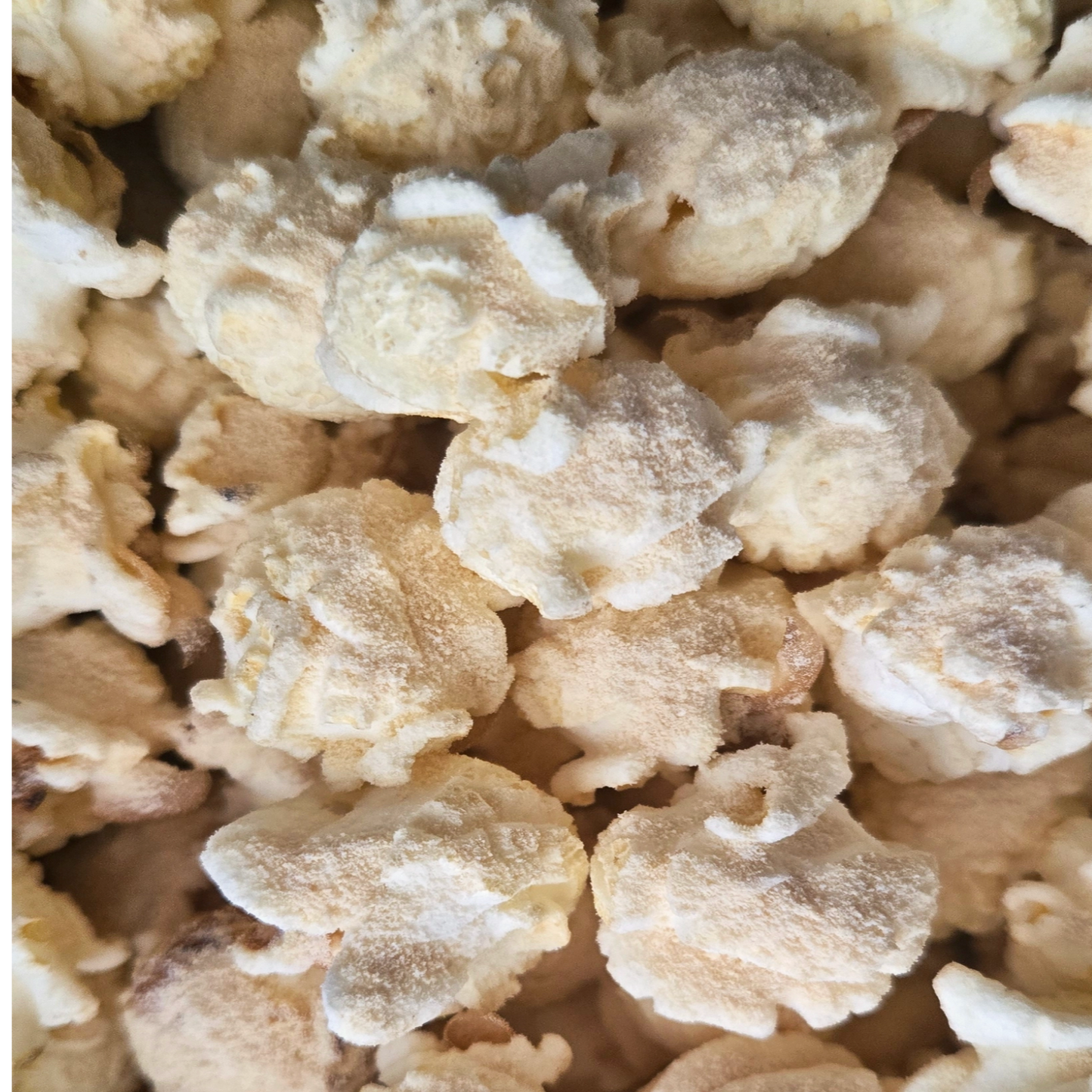 White Cheddar Popcorn