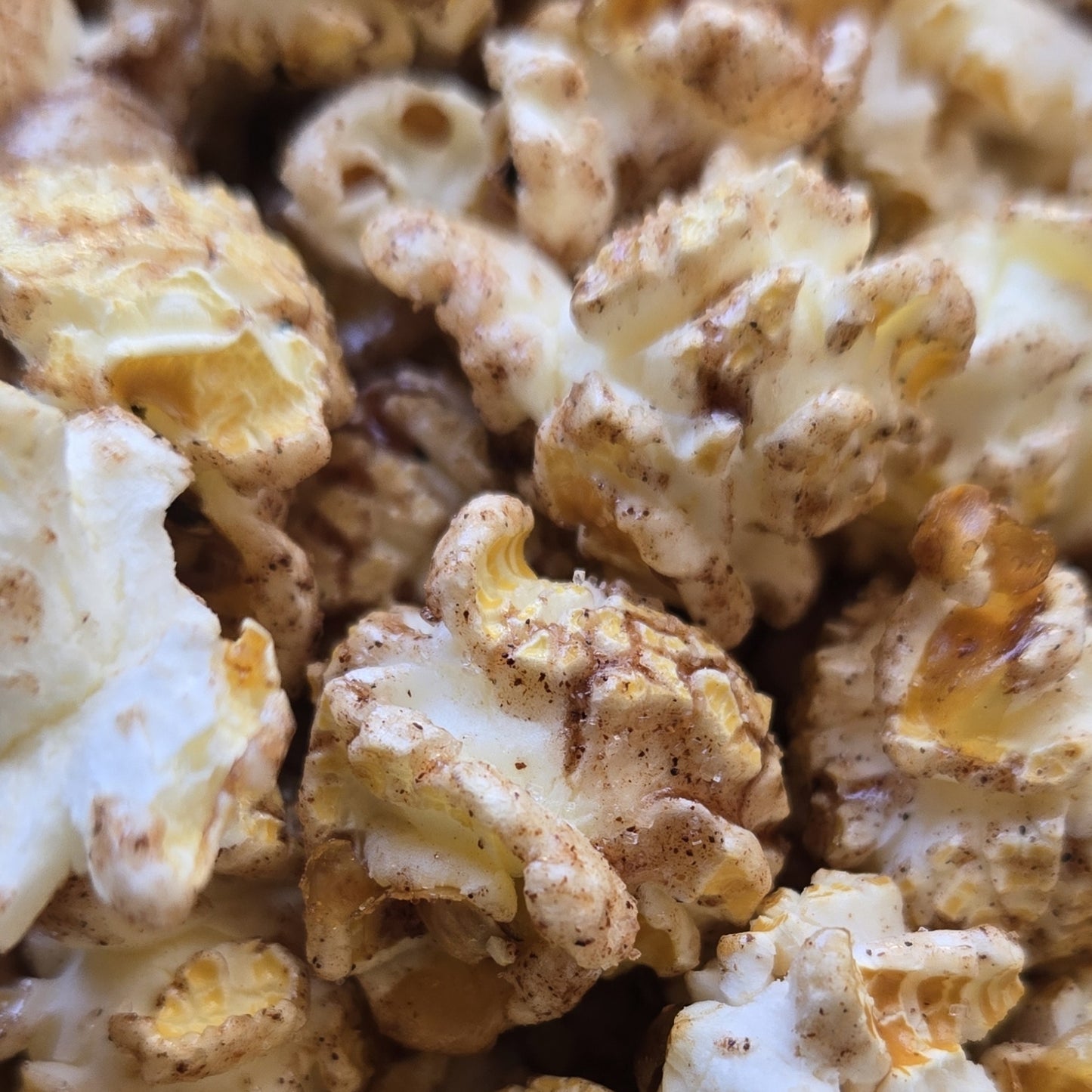XL Party Bulk Popcorn Bags