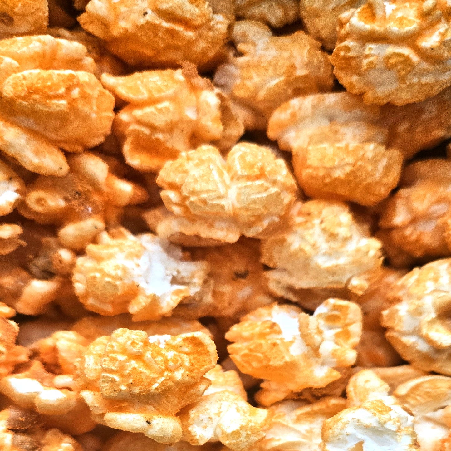 XL Party Bulk Popcorn Bags